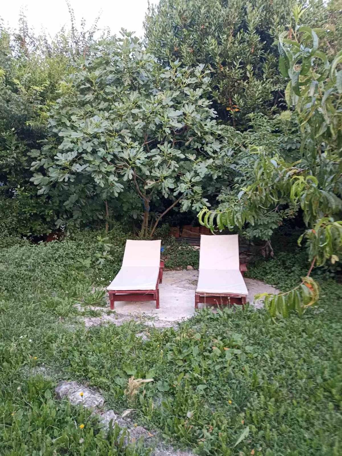 Kamp Seosko Domacinstvo Radman Hotel Herceg Novi Ngoại thất bức ảnh